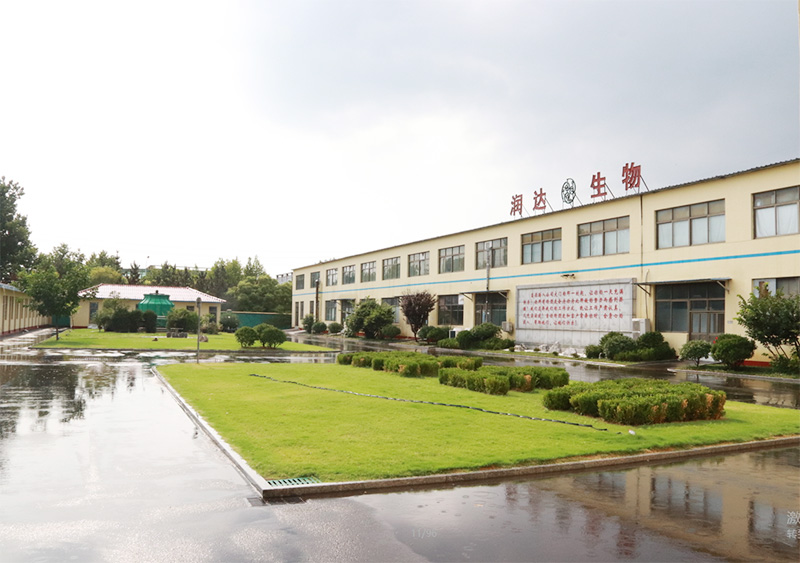  点赞2020 || 2020年润达生物大事记