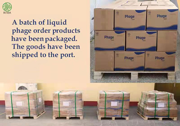  润达生物噬菌体“海外首单”：孟加拉，我们来了！