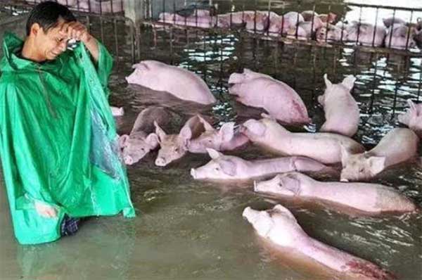  豫你一起，同舟共济！润达生物捐赠消毒防疫物资支援河南灾区！