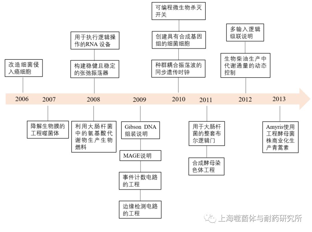 合成生物学的发展及在噬菌体中的应用