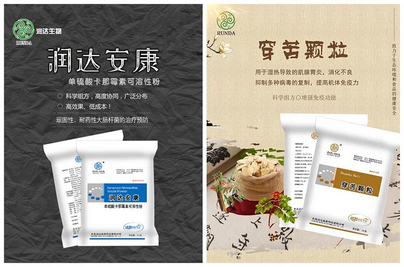 肉鸡养殖 || 秋冬常见疾病防控方案