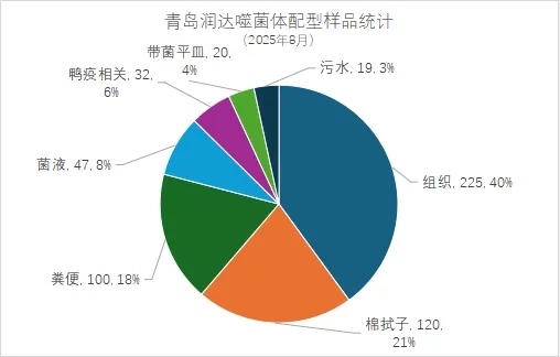 2025年8月份润达生物噬菌体配型报告
