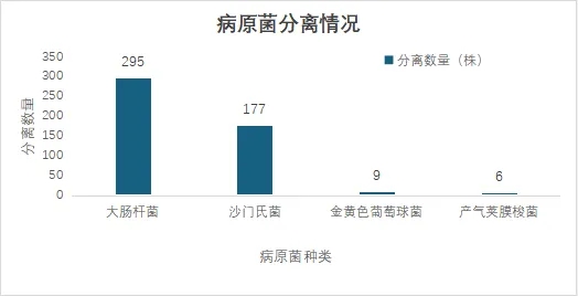 2025年8月份润达生物噬菌体配型报告