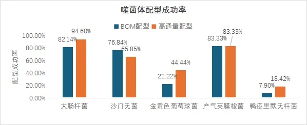 2025年8月份润达生物噬菌体配型报告