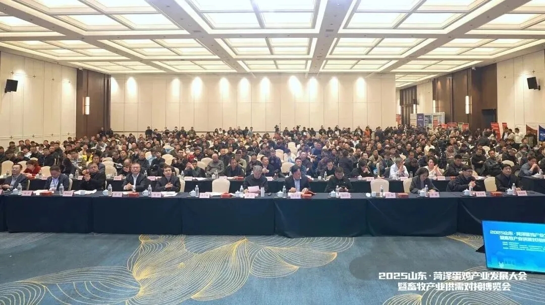 聚焦无抗养殖・服务赋能产业 | 润达生物参展 2025 菏泽蛋鸡大会，获评 “服务养殖场先进单位”！