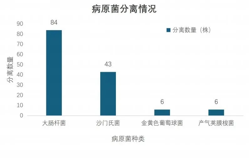 2026年2月份润达生物噬菌体配型报告