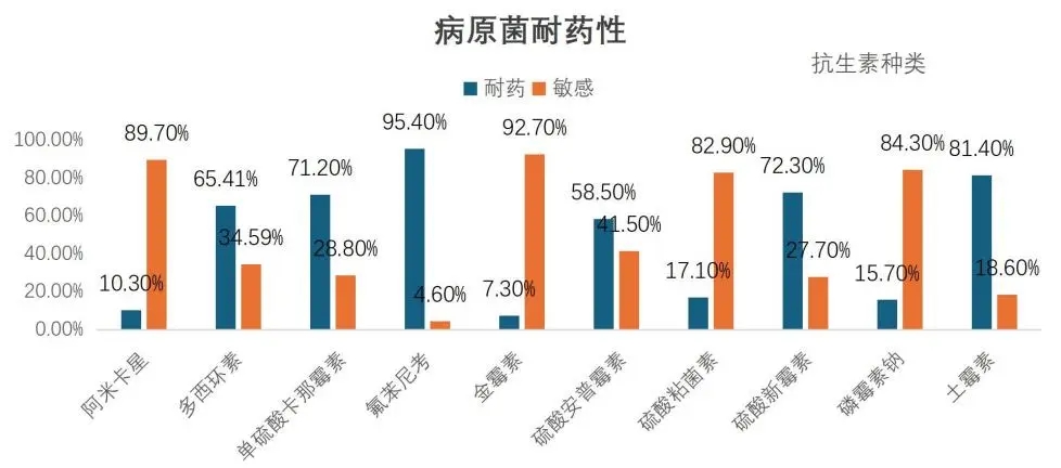 2026年2月份润达生物噬菌体配型报告